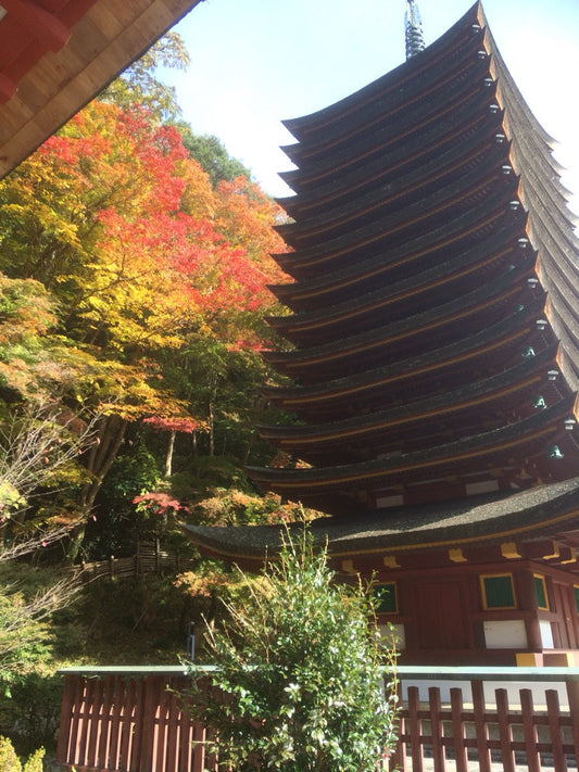 【イベント】談山神社～紅葉～