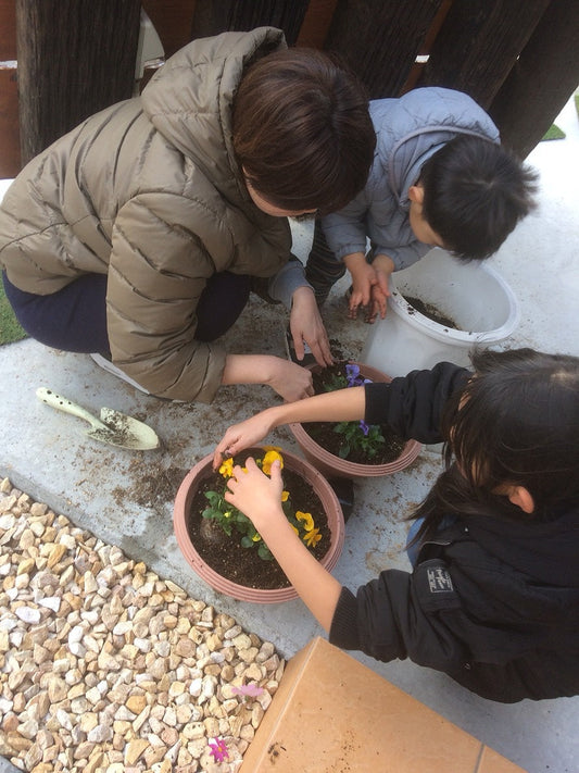 【工房日常】鉢の植え替え♪
