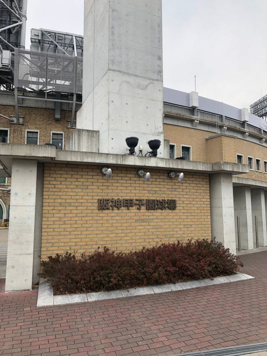 【阪神タイガース2019】甲子園での打ち合わせ!!