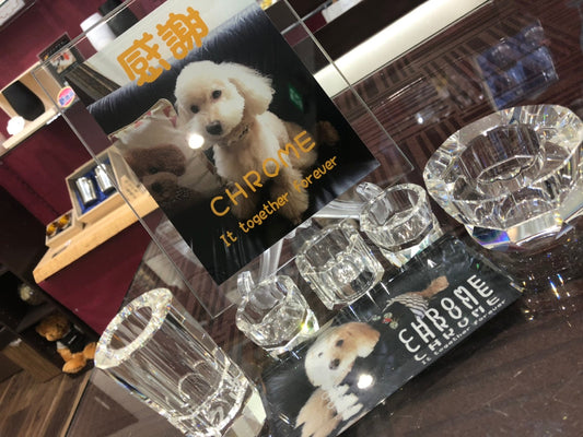 ペット メモリアル ガラス エンディング プレート