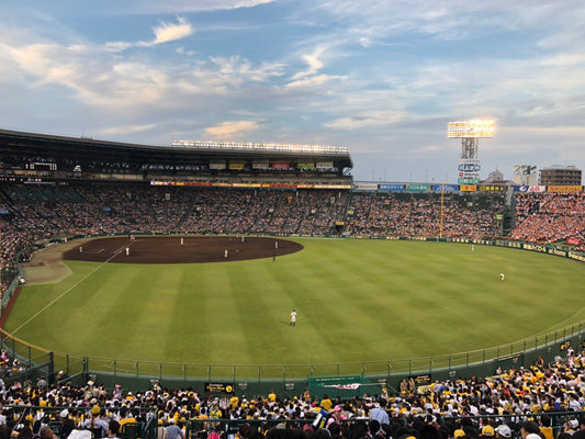 阪神タイガース 試合観戦 してきました