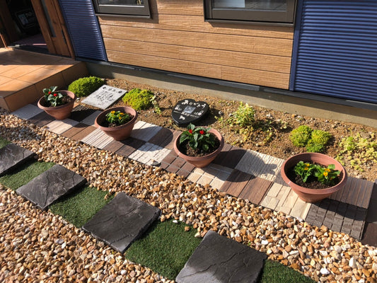 春　花の植え替え　♪