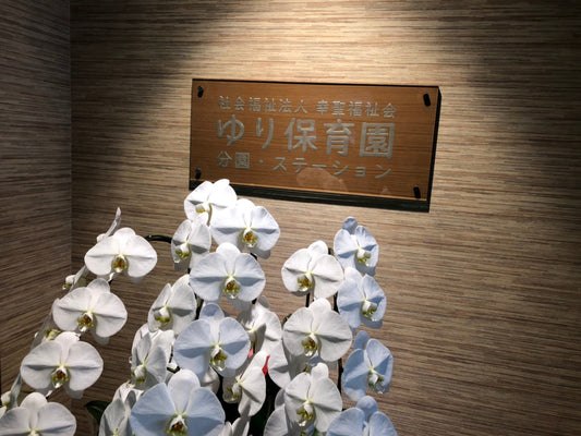 保育園の大型ガラス　施工完了