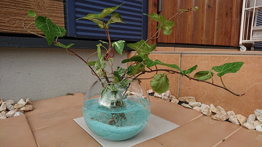 【夏に涼しげ♪】金魚鉢風のガラスフラワーベース