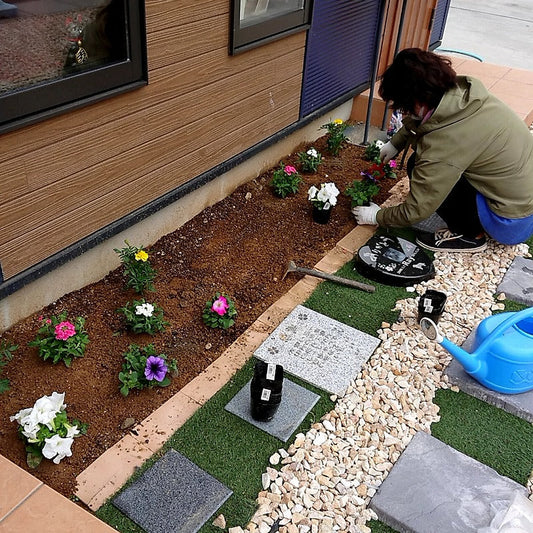 工房 日常　お花の植え替え