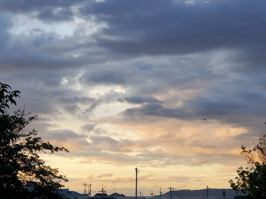 綺麗な夕焼け