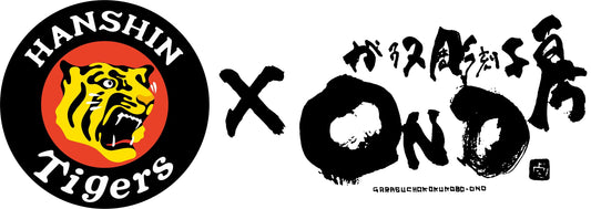 阪神タイガース　甲子園　初戦！！