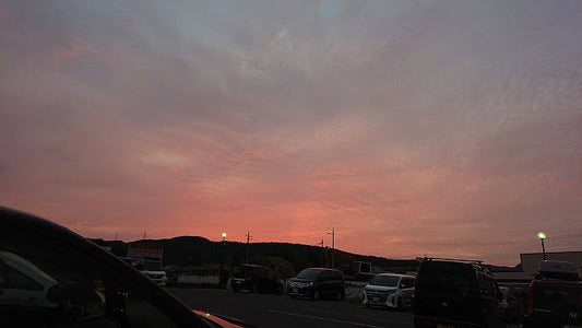 【本日】父の日ですね