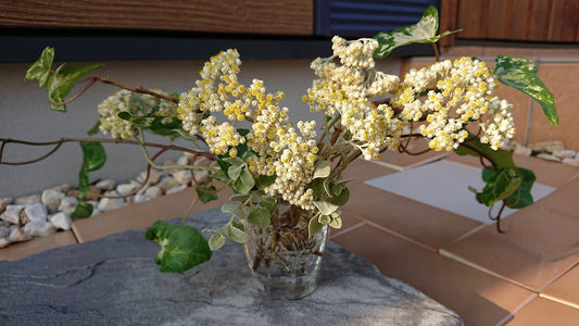 【ガラス花留】お花を生けました