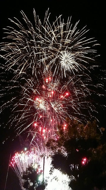 平成最後の夏に花火を！！