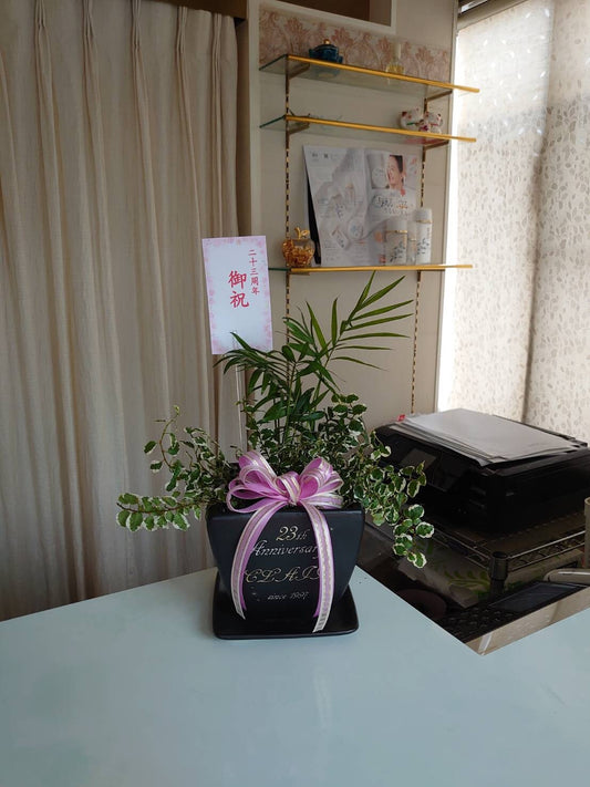 お店の周年記念に♪鉢植え＆観葉植物