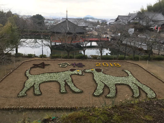 娘の合格祈願に行ってきました。