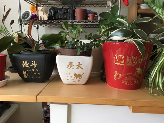 北海道からのご注文！