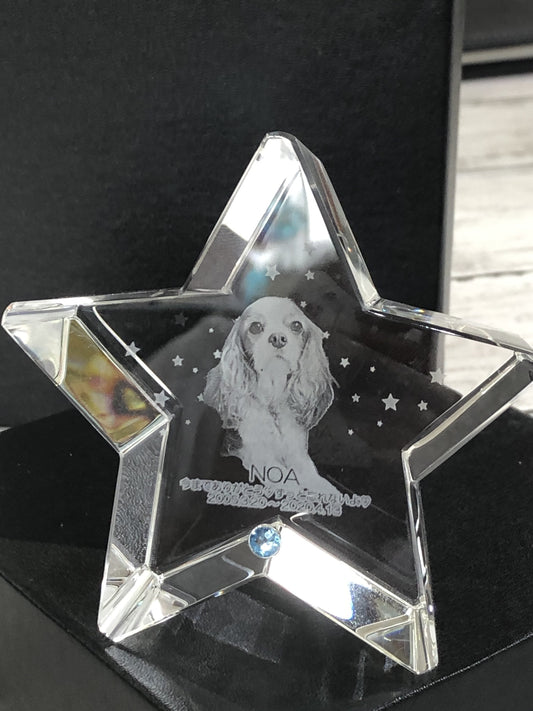 ペットクリスタルご注文♪