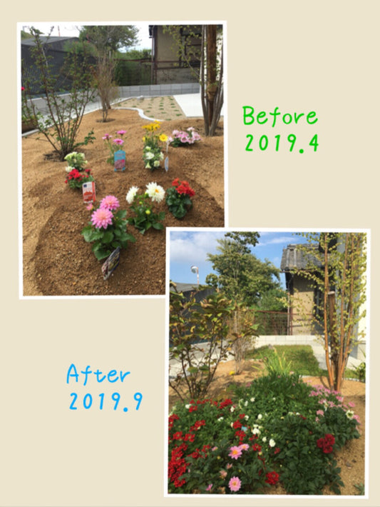 春から夏にかけて