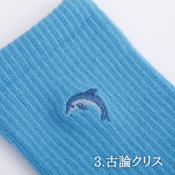 刺繍入りソックス 全3種【(株)キタイ】