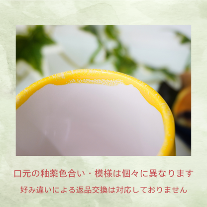 美濃焼フリーカップ　雫